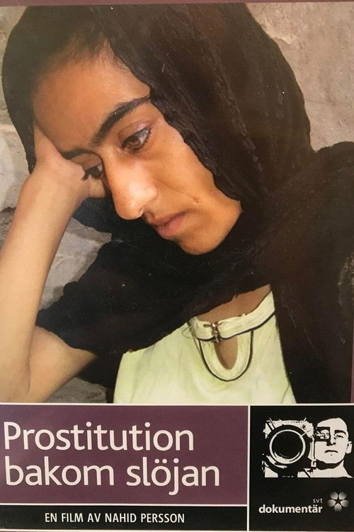 Prostitution bag sløret постер