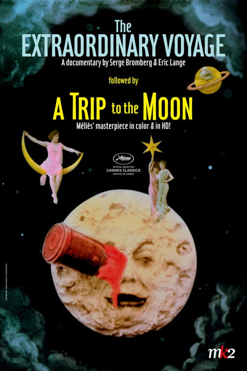 The Extraordinary Voyage постер