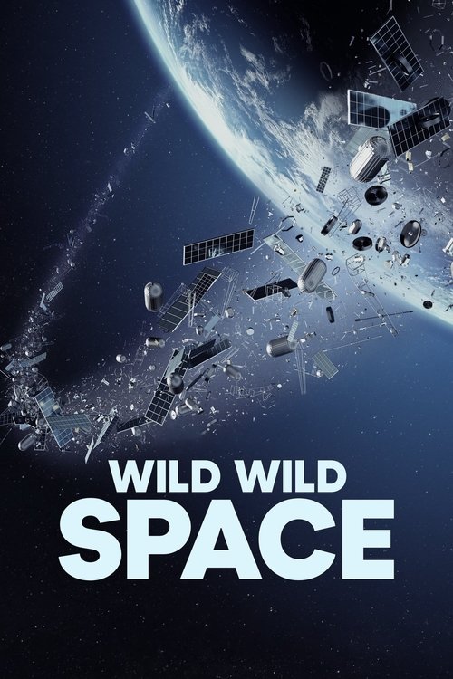 Wild Wild Space постер