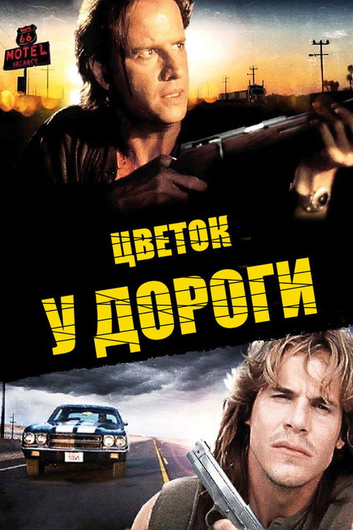 Цветок у дороги постер