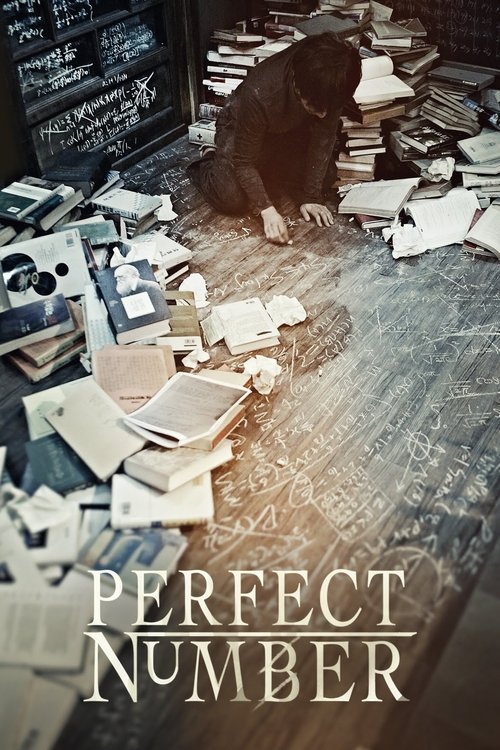 Perfect Number постер