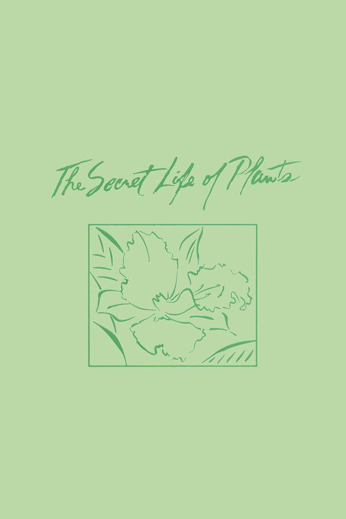The Secret Life of Plants постер