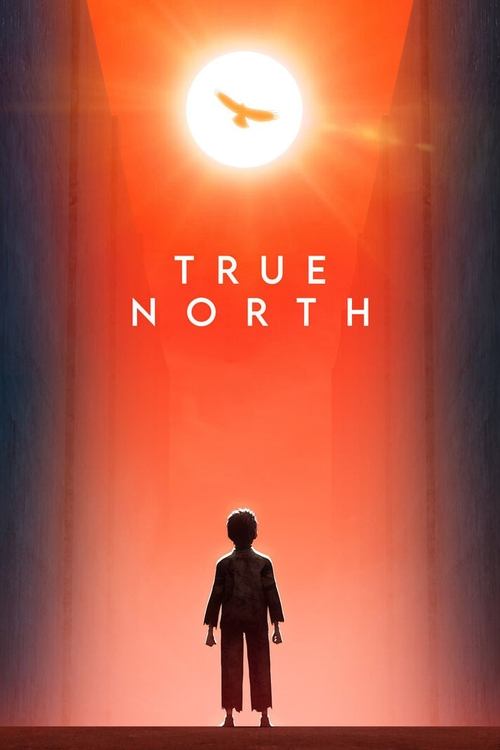 True North постер