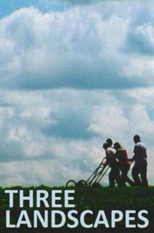 Three Landscapes постер