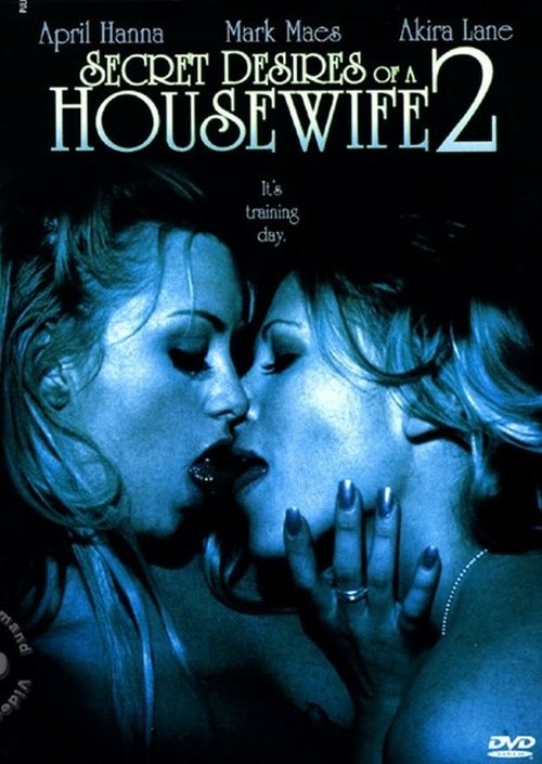 Secret Desires of a Housewife 2 постер