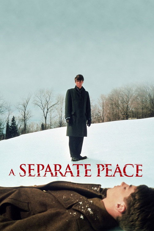A Separate Peace постер