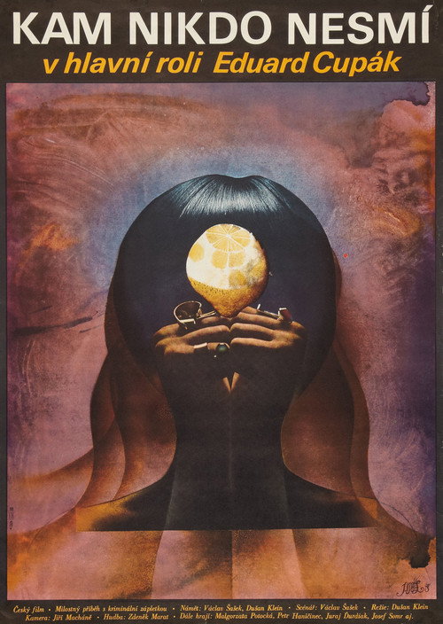 Kam nikdo nesmí постер