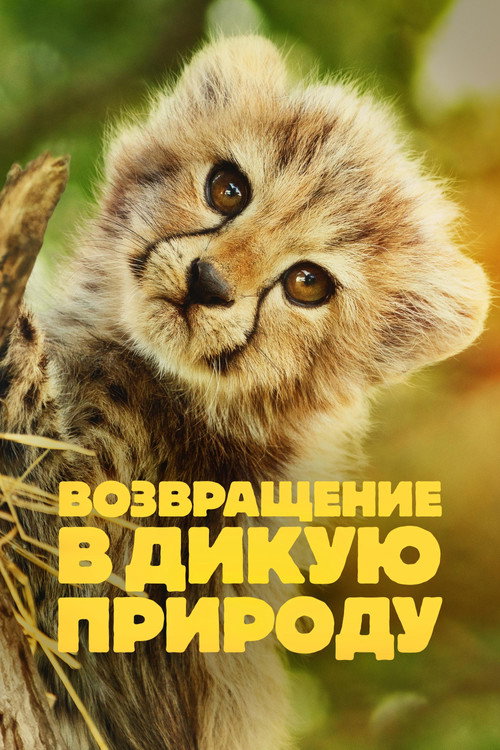 Возвращение в дикую природу постер