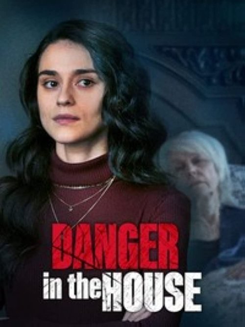 Danger in the House постер