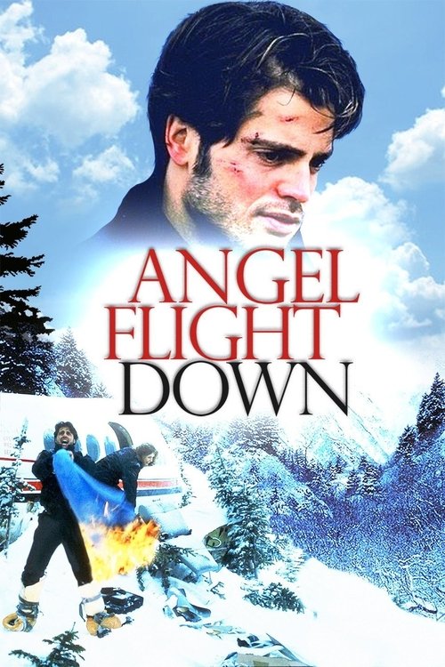Angel Flight Down постер