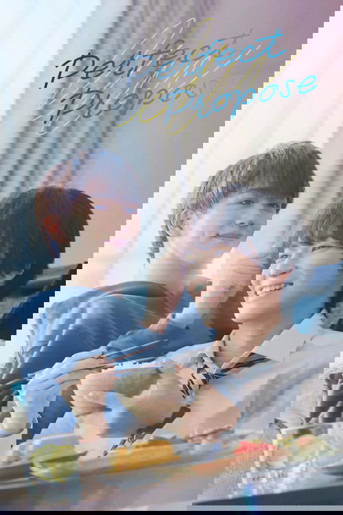 Perfect Propose постер