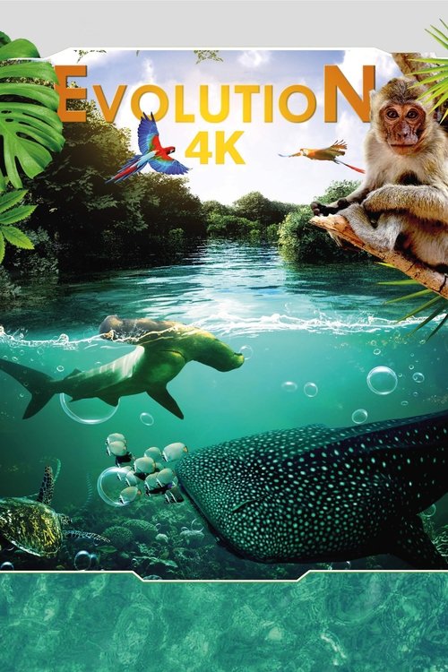 Evolution 4K постер