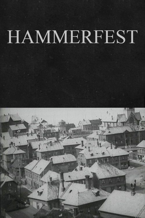 Hammerfest постер
