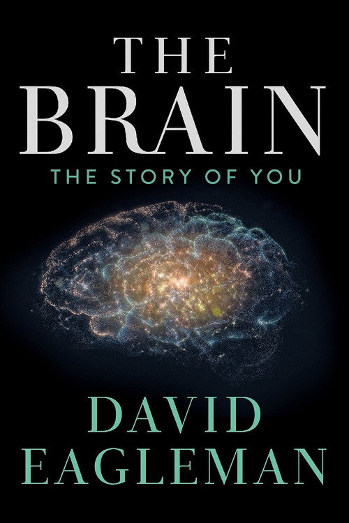 The Brain with David Eagleman постер