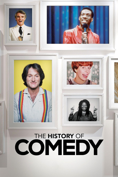The History of Comedy постер