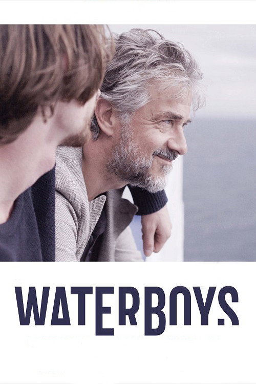 Waterboys постер