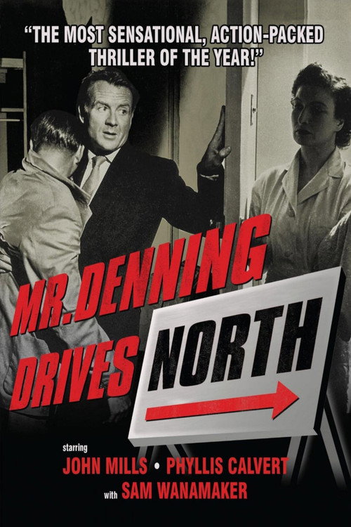 Mr. Denning Drives North постер