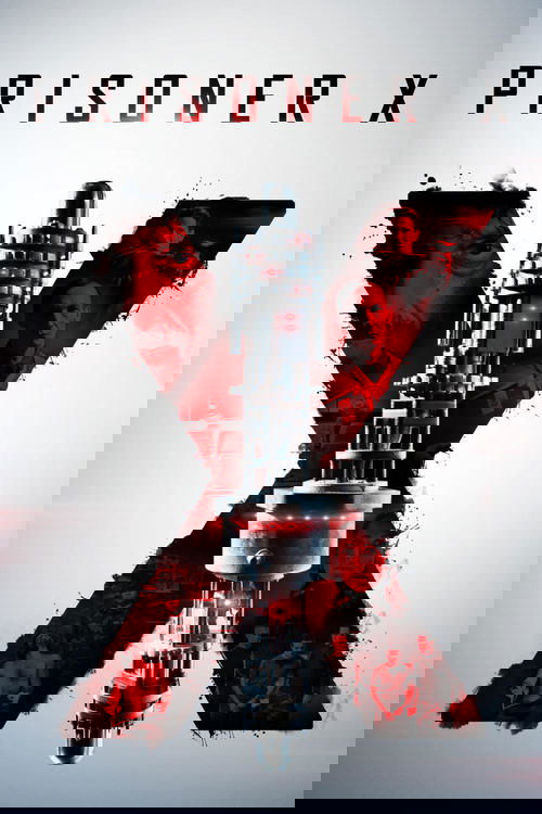 Prisoner X постер