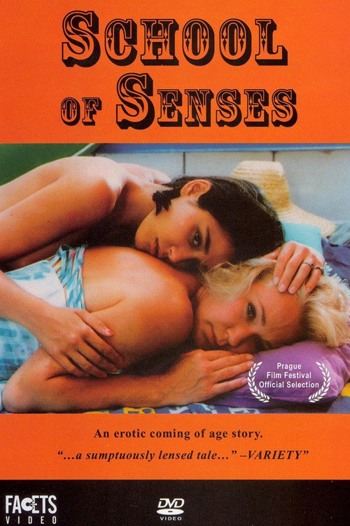 School of Senses постер