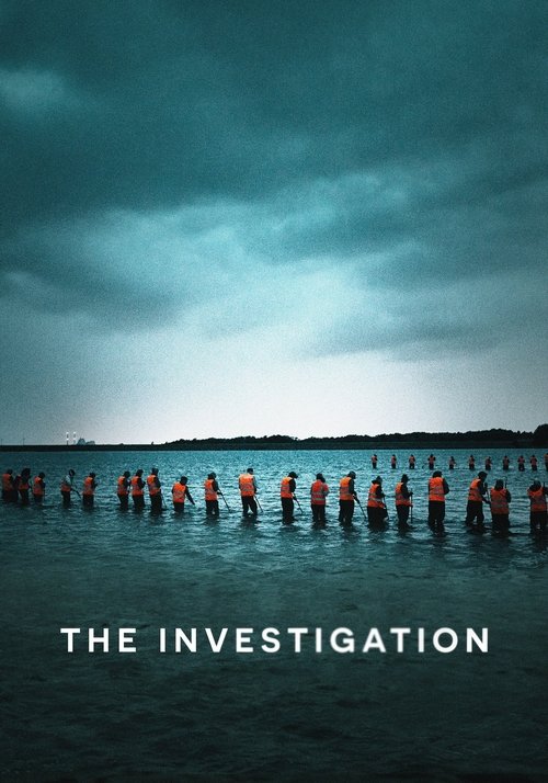 The Investigation постер