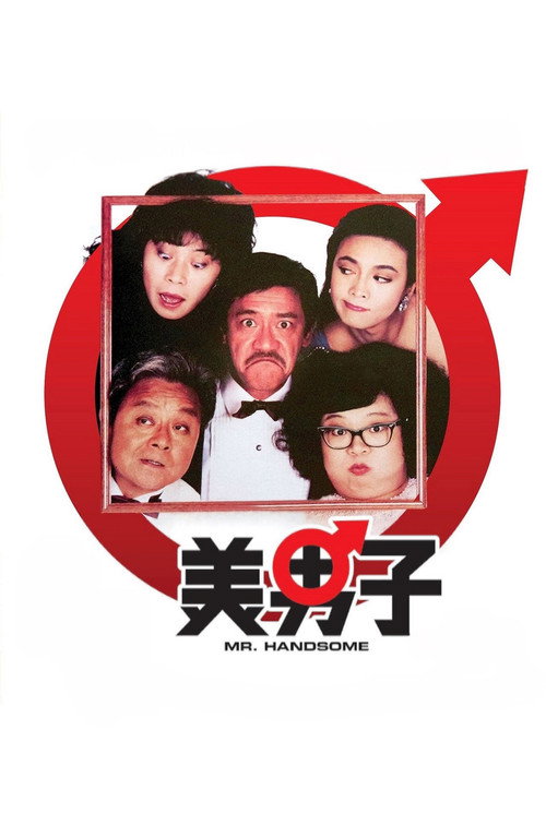 Mr. Handsome постер