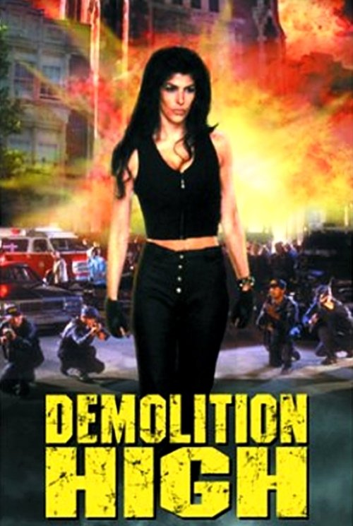 Demolition High постер
