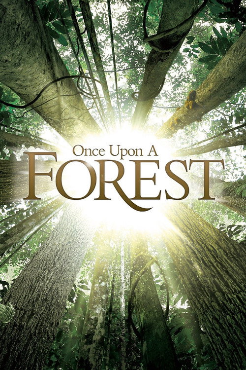 Once Upon a Forest постер