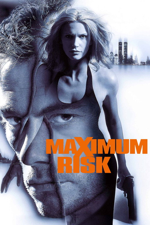 Maximum Risk постер