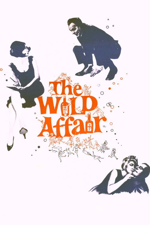 The Wild Affair постер