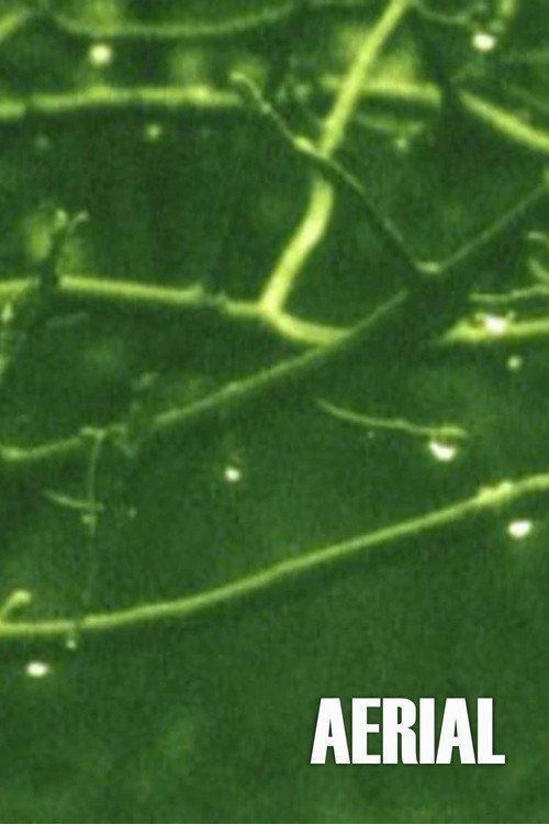 Aerial постер