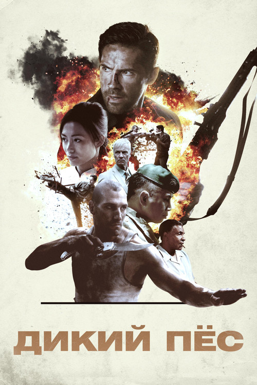 Дикий пёс постер