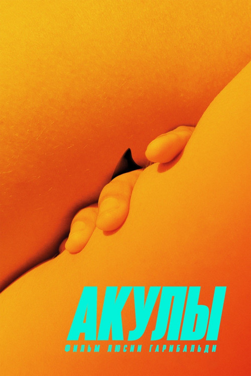 Акулы постер