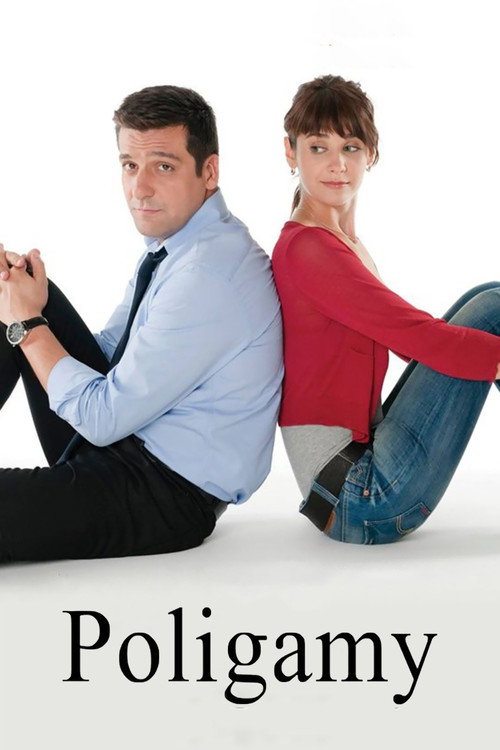Многоженец постер