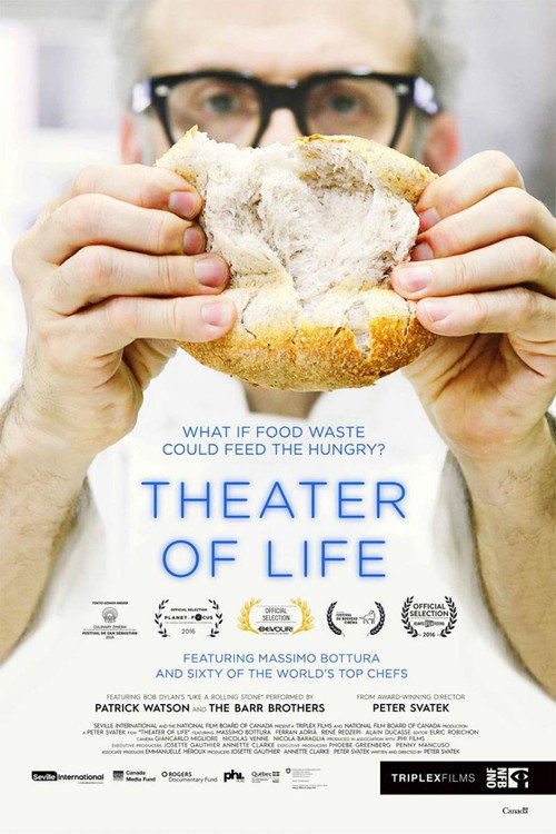 Theatre of Life постер