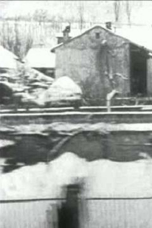 Panorama de l’arrivée à Aix-les-Bains pris du train (temps de neige) постер