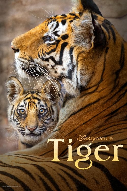 Tiger постер