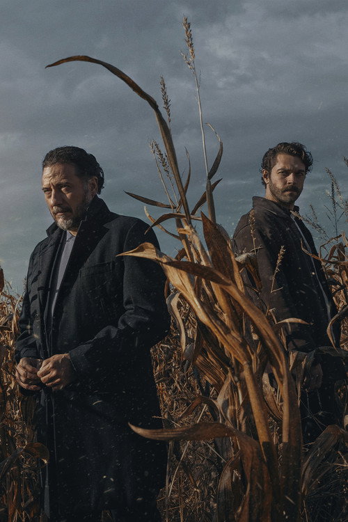 Степь постер