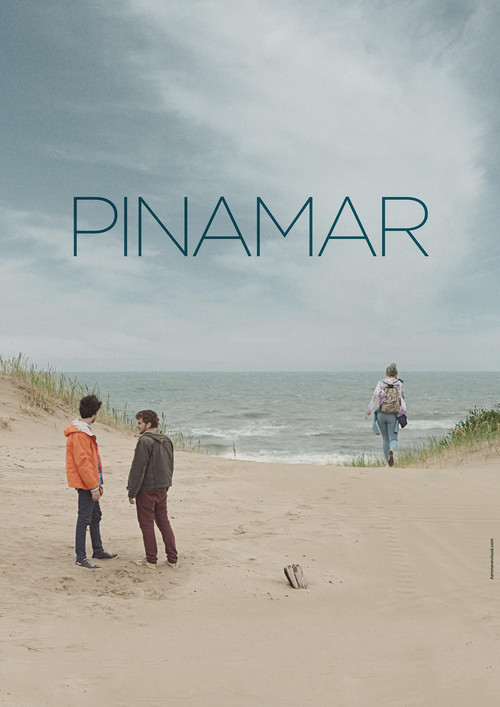 Pinamar постер