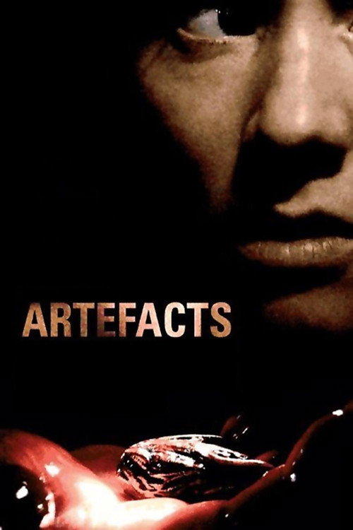 Artefacts постер