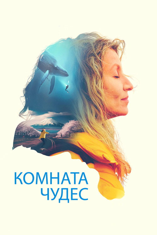 Комната чудес постер