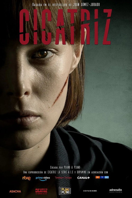 Шрам постер