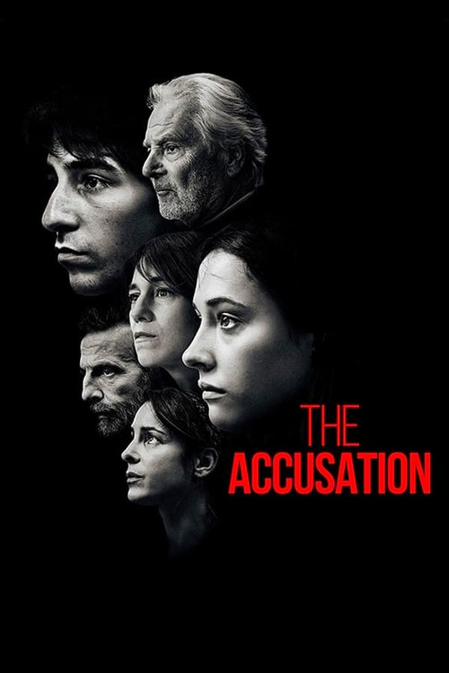 The Accusation постер