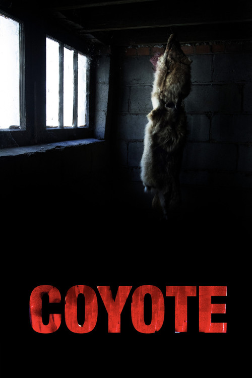 Coyote постер