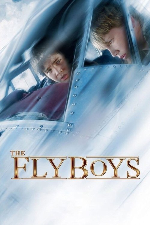 The Flyboys постер