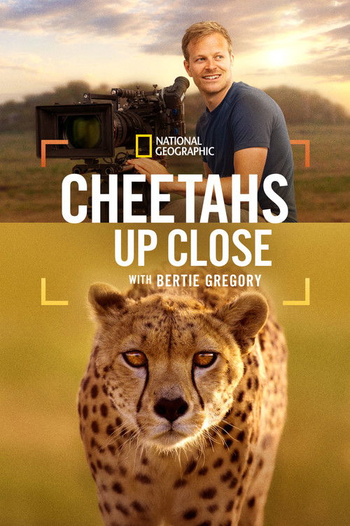 Cheetahs Up Close with Bertie Gregory постер