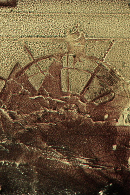 The Emblazoned Apparitions постер