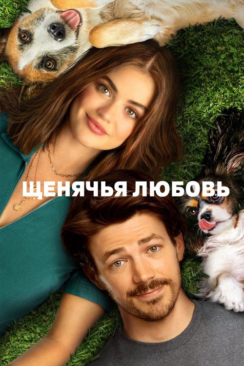 Щенячья любовь постер