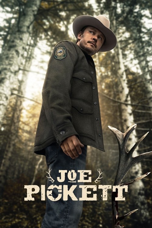 Joe Pickett постер