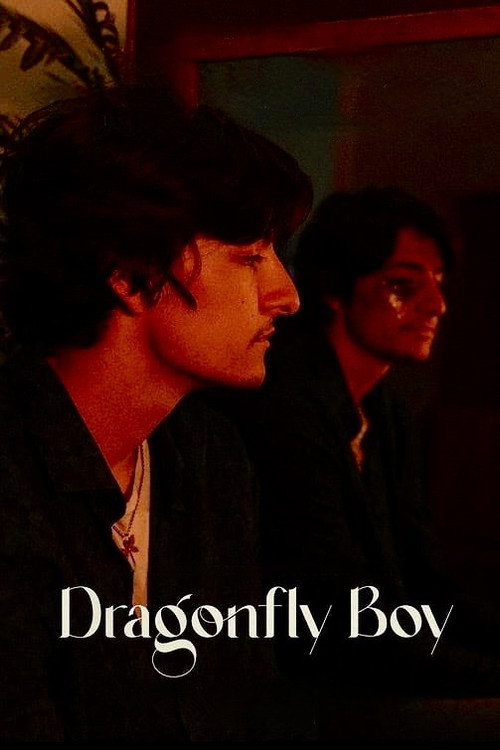 Dragonfly Boy постер