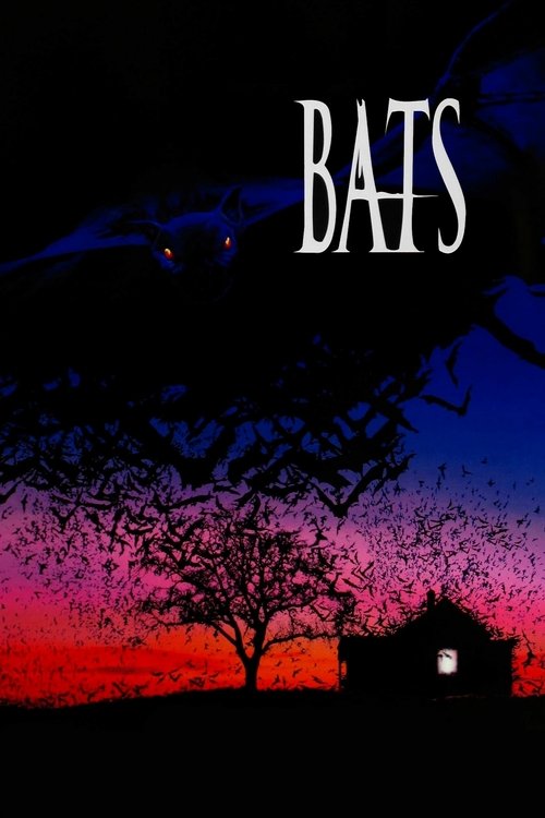 Bats постер
